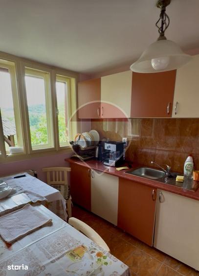Casă cu 6 camere cu Teren 1123 Mp în Ocna Șugatag