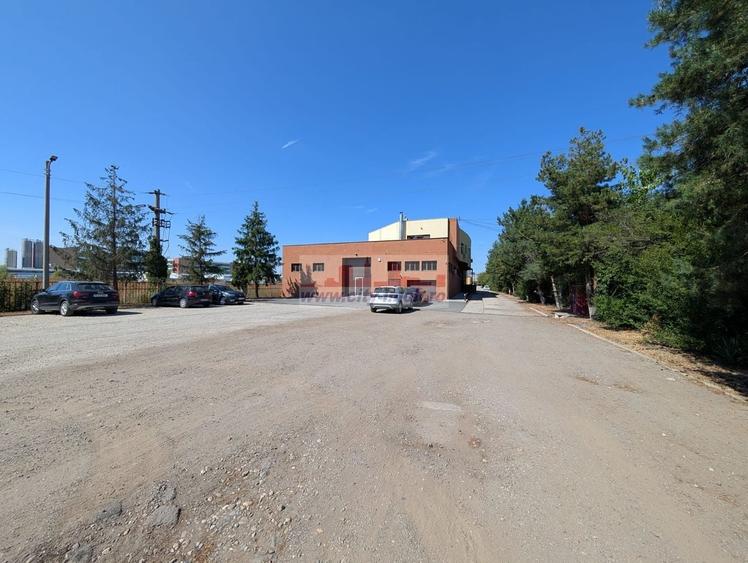 Teren Construcții intravilan de 10000 mp, în Vest