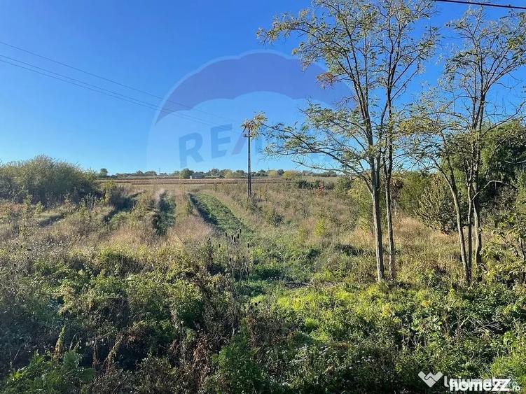 Teren de 2341 mp, în Uileacu de Munte