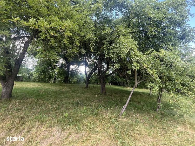 Casă cu 2 camere în Păpăuți
