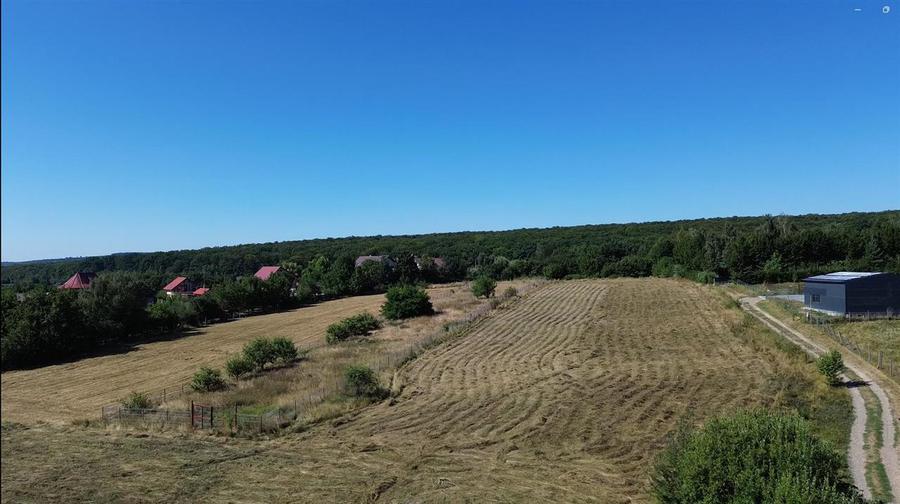 Teren Construcții intravilan de 6200 mp, în Mitocu Dragomirnei