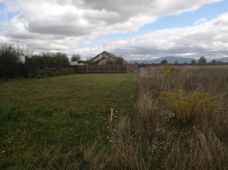 Teren Construcții intravilan de 500 mp, în Hărman