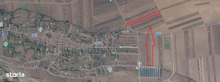 Teren 5.000 mp Tarlungeni, zona Carpini? | Investi?ie cu potential! - 4