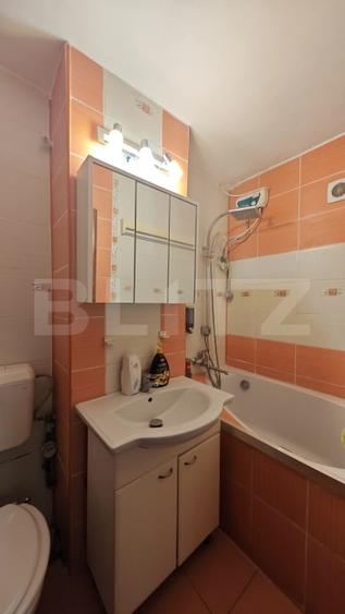 Apartament cu 3 camere decomandat, mobilat în Dacia