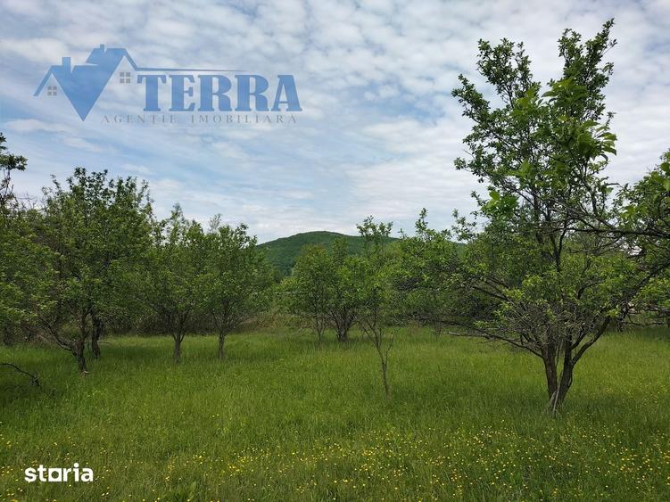 Casa cu teren de 2.300 mp ?i livada in Rade?ti Stalpeni, Arge? - 6