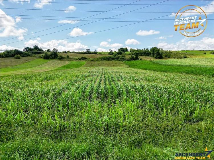 Teren de 7400 mp, în Sâncraiu