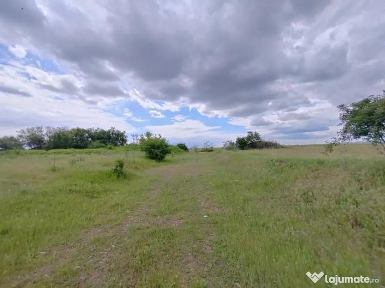 Teren în Ariceștii Rahtivani