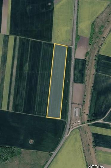 Teren agricol extravilan de 28700 mp, în Tămășeu