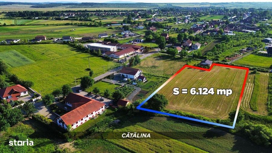 Spațiu comercial, în Cătălina