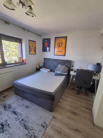 Vanzare Casa/Vila Popesti-Leordeni Ilfov - 11