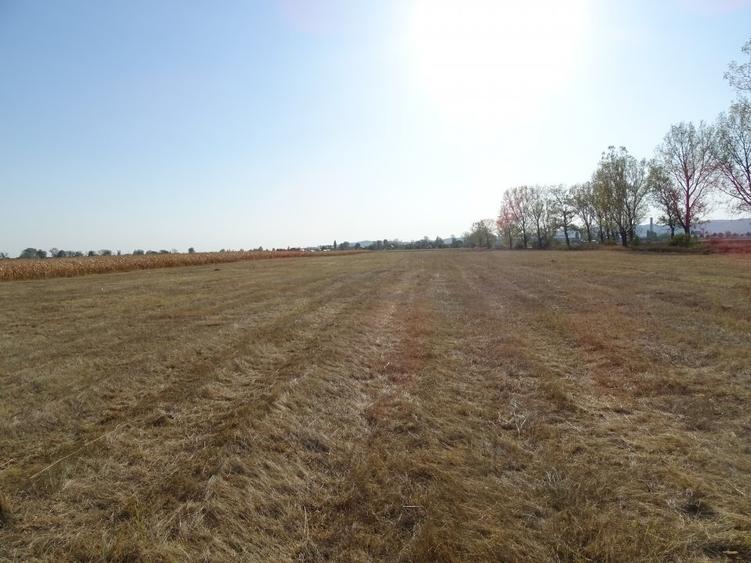 Teren agricol extravilan de 30000 mp, în Băicoi