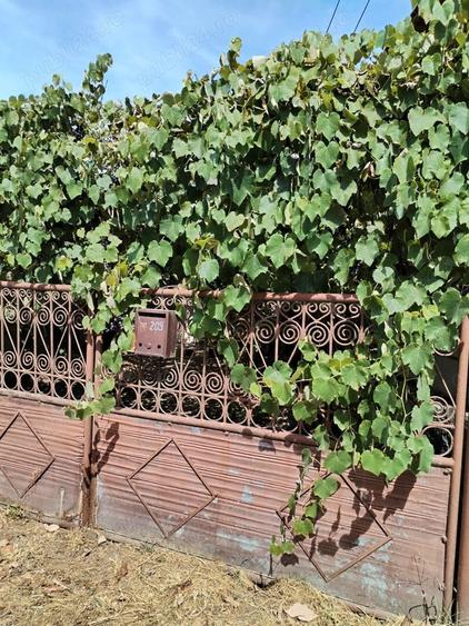 Casă cu 3 camere în Zam