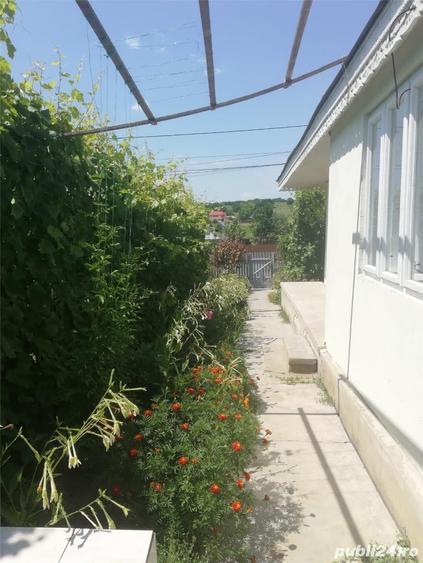 Casă cu 4 camere cu Teren 5000 Mp în Valea Mărului