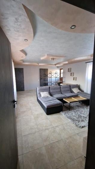 Apartament cu 2 camere semidecomandat, mobilat în Iosefin