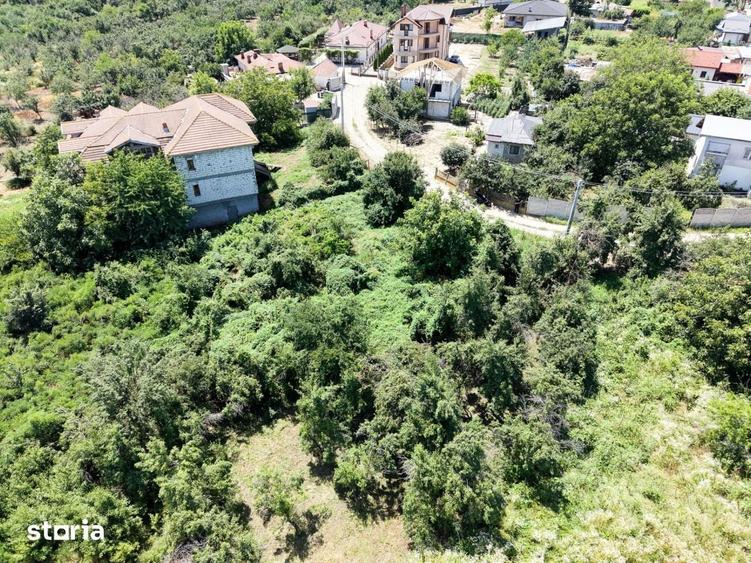 Curte 3200 mp Bolintin Vale, intravilan, intre case - 5