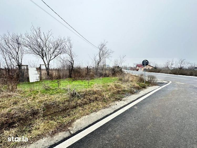 Teren de 7200 mp, în Horlești