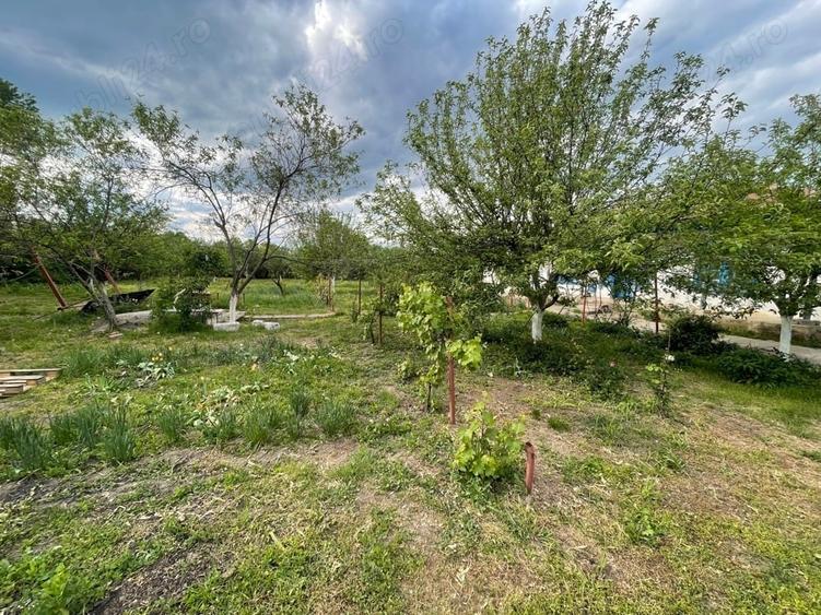 Casă cu 3 camere cu Teren 2000 Mp în Stănești