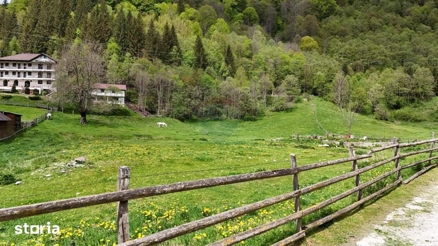 Teren de 10000 mp, în Rucăr