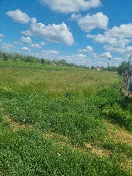 Teren de 2000 mp, în Tărtășești