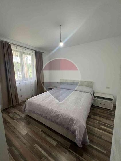 Casă individuală cu 18 camere cu Teren 3815 Mp în Mestecăniș
