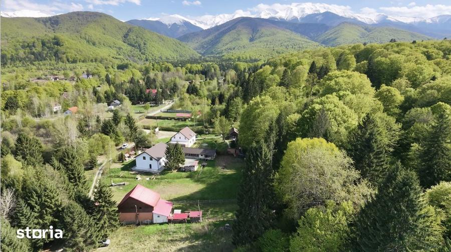 Teren de construit Valea Avrigului, Jud Sibiu, 1000mp, zona verde - 2