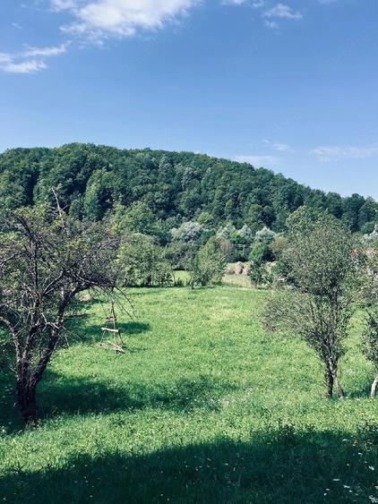 Teren de vanzare in aduna?i - 8