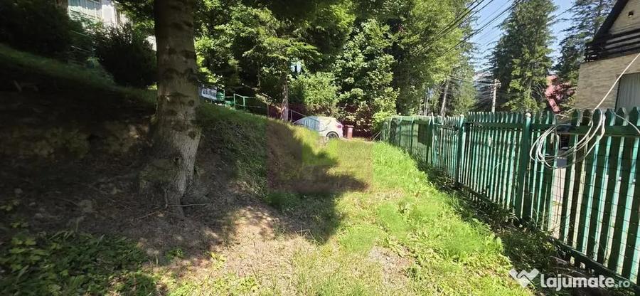Teren în Furnica