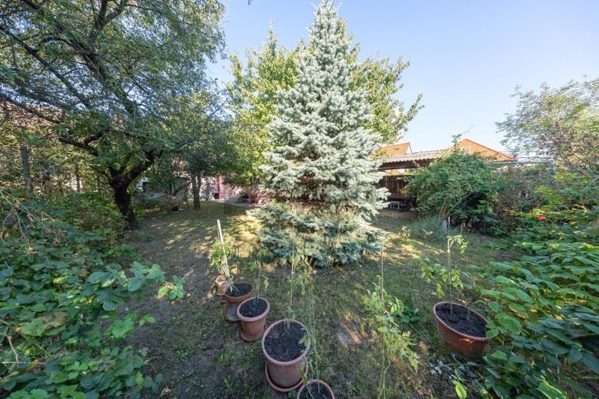 Casă individuală cu 4 camere cu Canalizare în Griviței