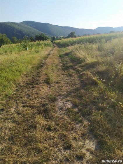 Teren de 2000 mp, în Brănișca