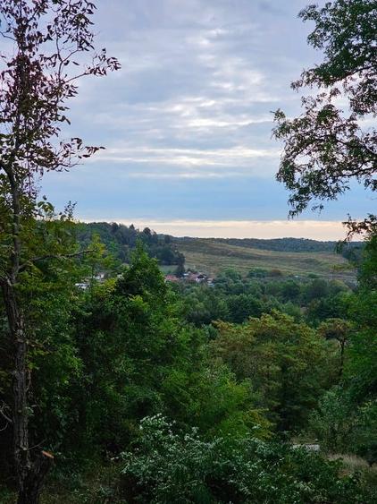Teren cu priveliste spre vale, la padure, zona linistita, la 1h30 de Bucuresti - 3