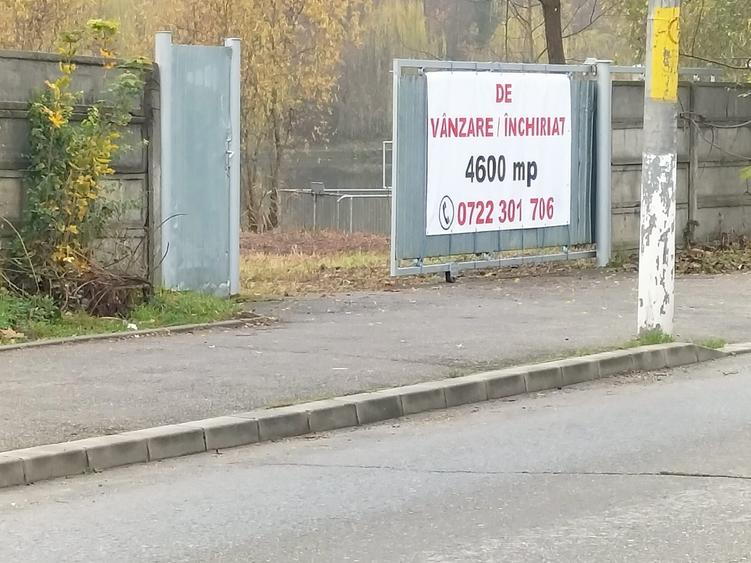 Teren de inchiriere eventual vanzare - 6
