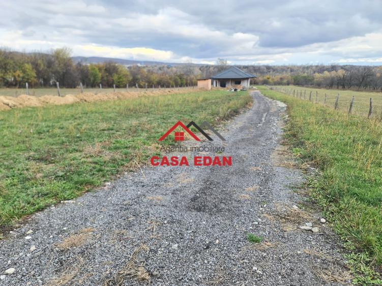 Casă individuală cu 5 camere cu Teren 5034 Mp în Câmpina