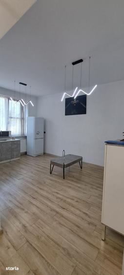 Apartament cu 2 camere în Săsar