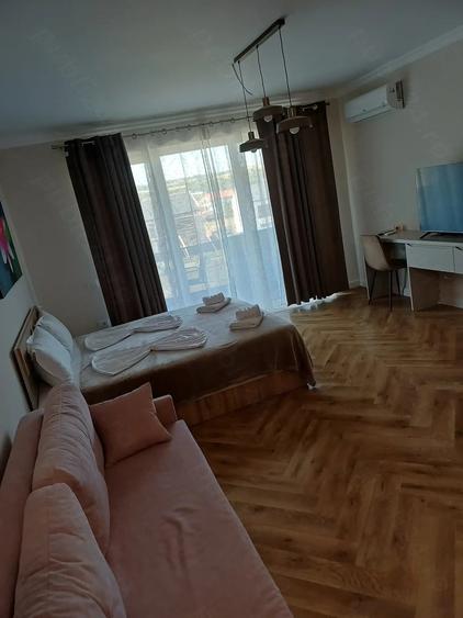 Garsonieră nedecomandată în Băile Felix