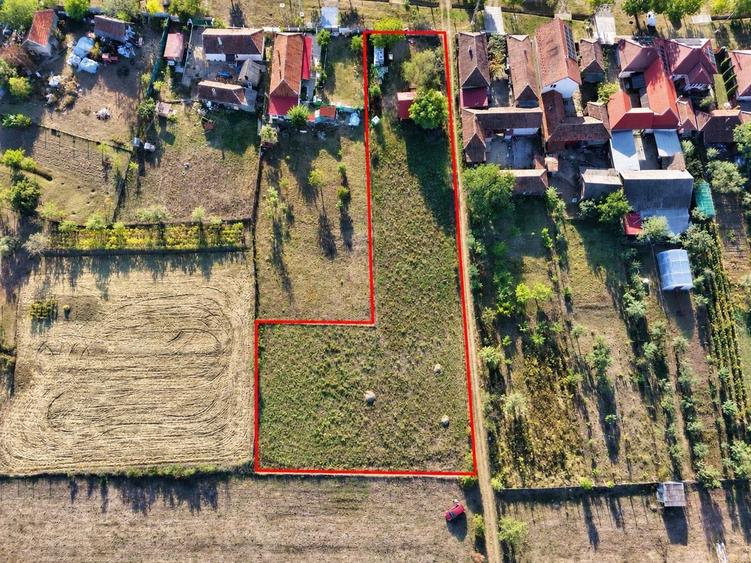 Teren Construcții intravilan de 2400 mp, în Betfia