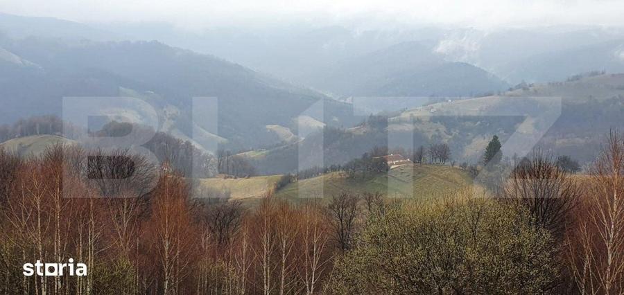 Teren de 9648 mp, în Poiana Mărului