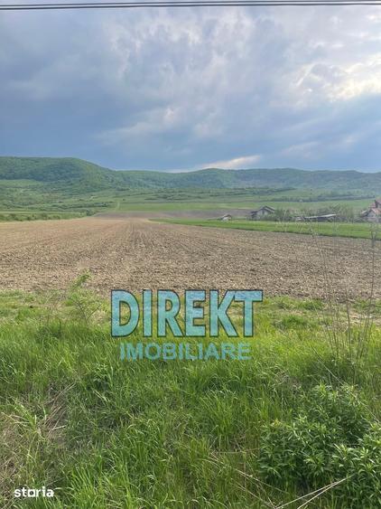 Teren de 7600 mp, în Șieu