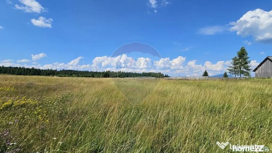 Teren de 30930 mp, în Poiana Stampei