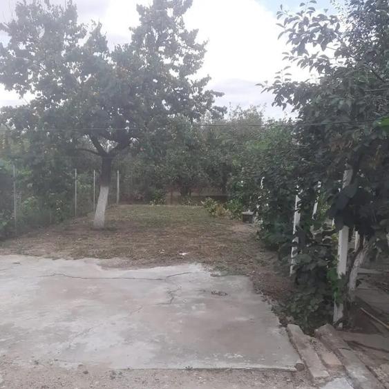 Vind casa in Micalaca - 5