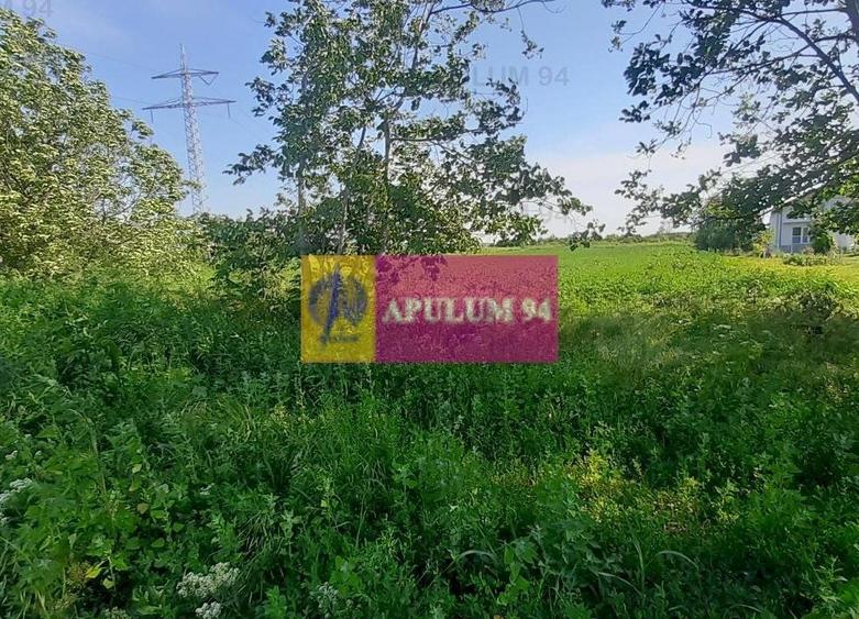 Teren Construcții intravilan de 5000 mp, în Copăceni