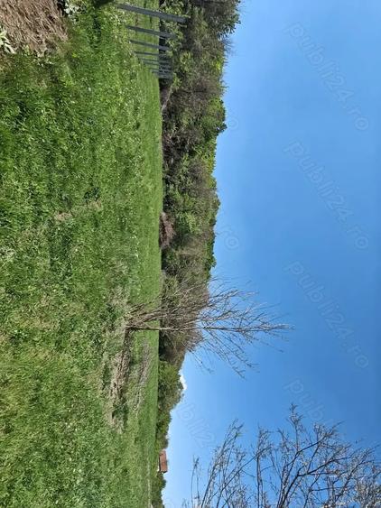 Teren intravilan 1400 m2 in Curteni, Santana de Mure? - la doar 10 minute de centrul Targu Mures - 1