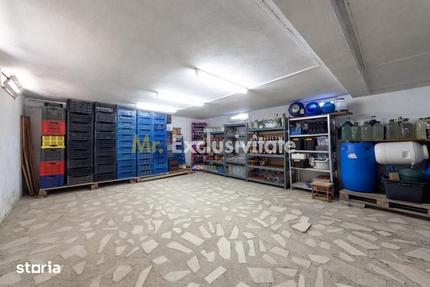 Casă cu 6 camere cu Teren 5000 Mp în Dârmănești