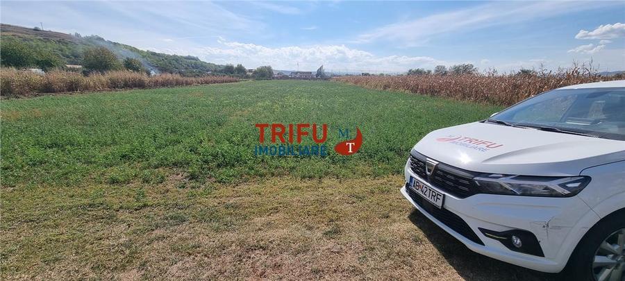 Teren agricol extravilan de 4356 mp, în Ciugud
