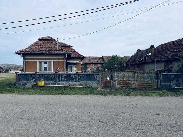 Casă cu 2 camere în Leorinț