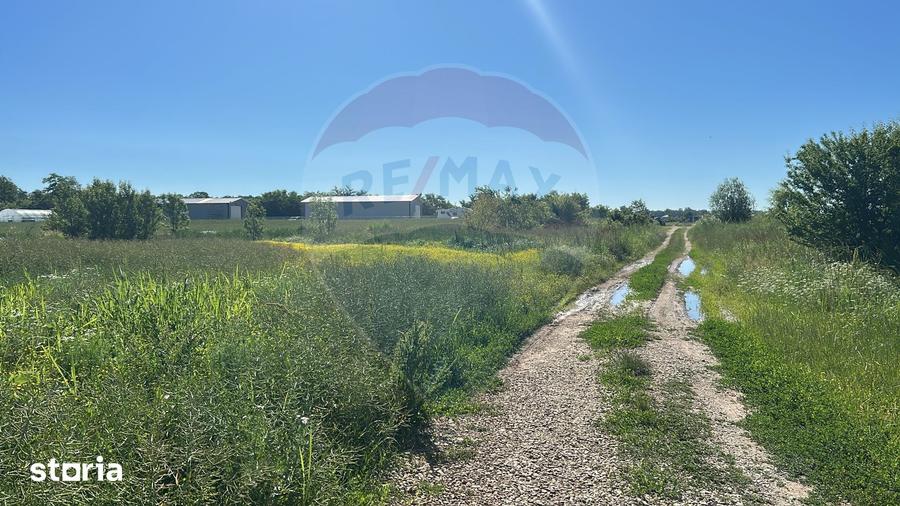Teren de 1501 mp, în Ciolpani