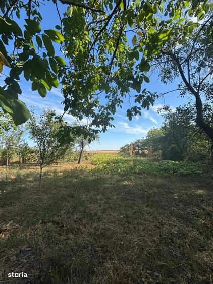 Casă cu 3 camere cu Teren 1741 Mp în Central