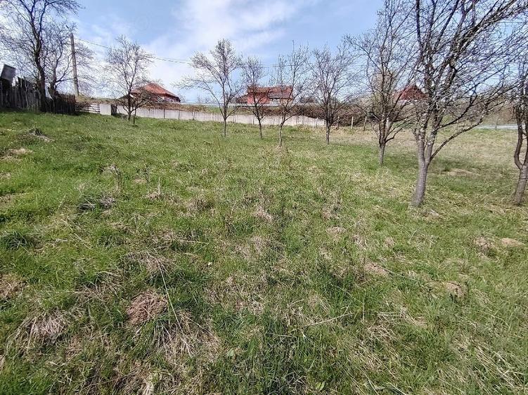 Teren de 2700 mp, în Ghelari