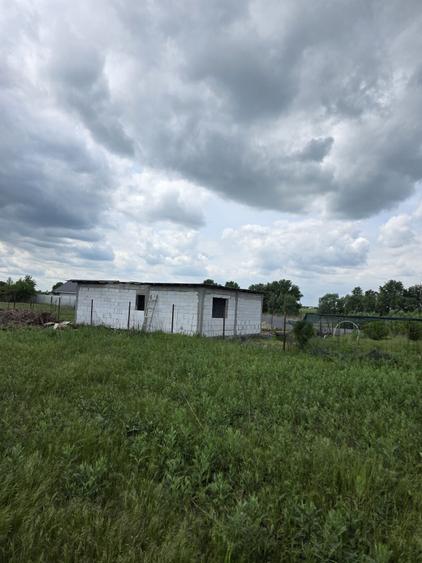 Casă cu 3 camere în Vidra