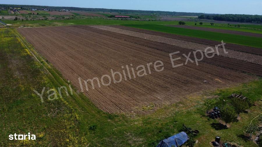 Teren de 526 mp, în Ciocănești