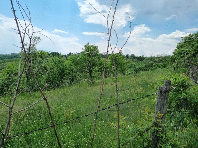Teren în Milcoiu